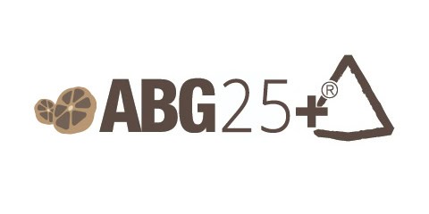 לוגו ABG 25+